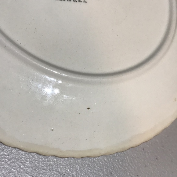 Vintage EUC Blue Ridge Hand Painted Southern Potteries Plate - Picture 7 of 7